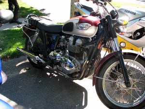 img_5098.jpg