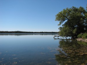 IMG_5165.JPG