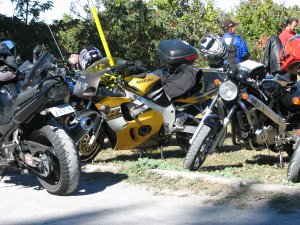 IMG_5169.JPG