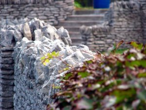 img_5651.jpg