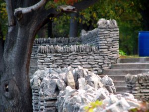 img_5653.jpg