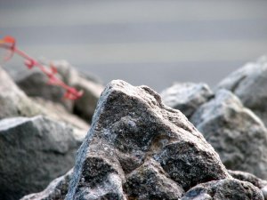 img_5654.jpg