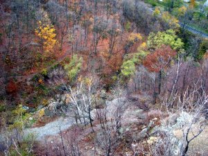 img_6059.jpg