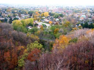 img_6060.jpg