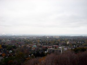 img_6061.jpg