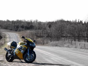 img_6223.jpg