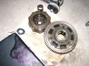 IMG_8932_resize_6.jpg
