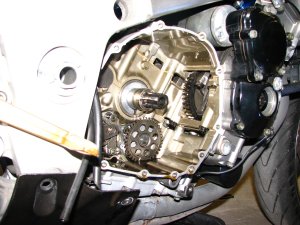 IMG_8934_resize_20.jpg