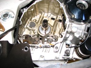 IMG_8937_resize_68.jpg