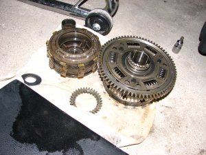IMG_8938_resize_9.jpg