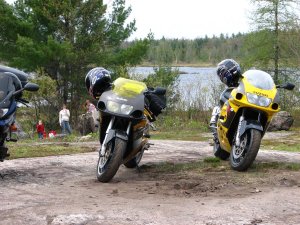 img_0081.jpg