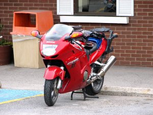 IMG_0145.JPG