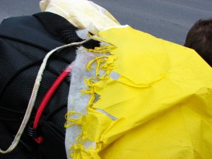 IMG_0181.JPG