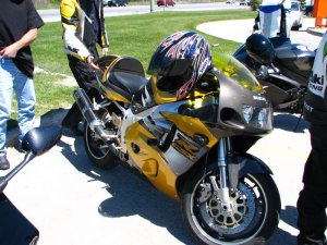 img_0256.jpg