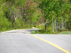 img_0258.jpg