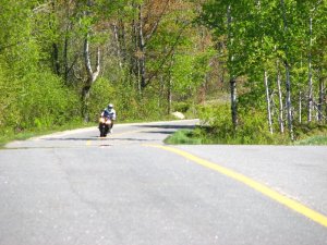 img_0259.jpg