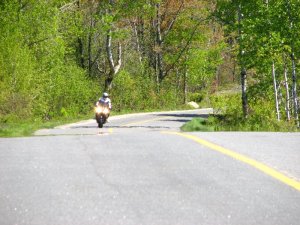 img_0261.jpg