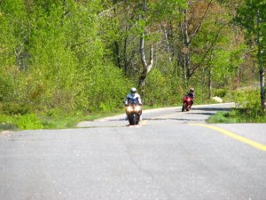 img_0264.jpg