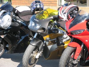 img_0308.jpg