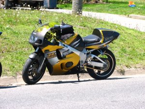img_0334.jpg