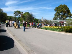 img_0353.jpg