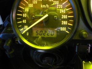 img_0361.jpg