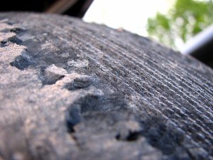 img_1242.jpg