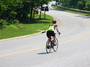 IMG_1677.JPG