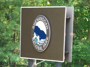 IMG_1680.JPG