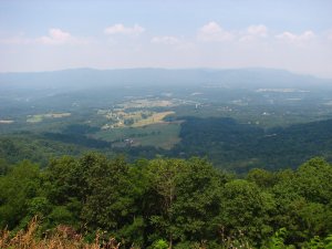 IMG_1692.JPG