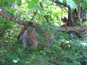 IMG_1714.JPG