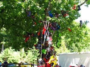 IMG_1750.JPG