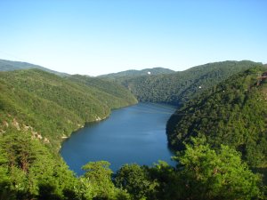 IMG_1834.JPG
