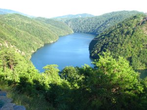 IMG_1835.JPG