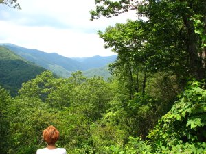 IMG_1890.JPG