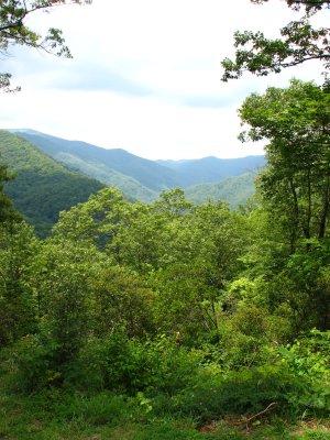 IMG_1893.JPG