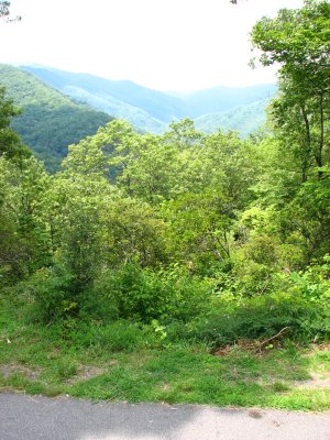 IMG_1894.JPG