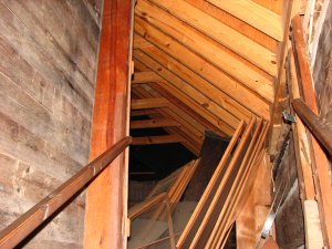 IMG_2044.JPG