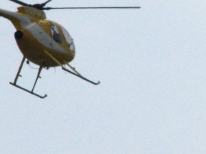 IMG_2104.JPG
