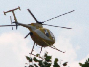 IMG_2105.JPG