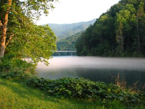 IMG_2154.JPG