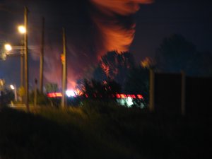 IMG_2211.JPG