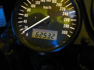 IMG_2218.JPG