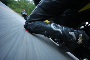 IMG_5679.JPG
