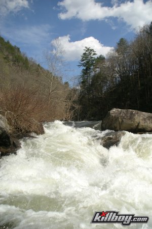 IMG_8424.jpg