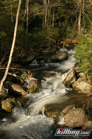 IMG_8458.jpg