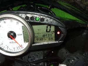 IMGP4741.JPG