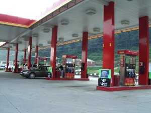 IMGP4766.JPG
