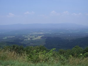IMGP4771.JPG