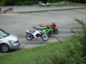 IMGP4785.JPG